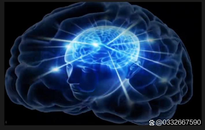 吃瓜：某综艺录制现场突发冲突，两位导师当场互殴